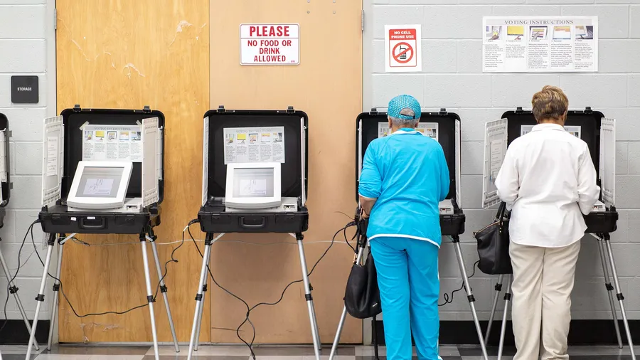 How democratic voting systems work and ballot counting mechanics