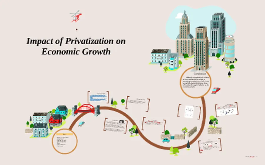 Effects of privatization on economic performance and public sector efficiency