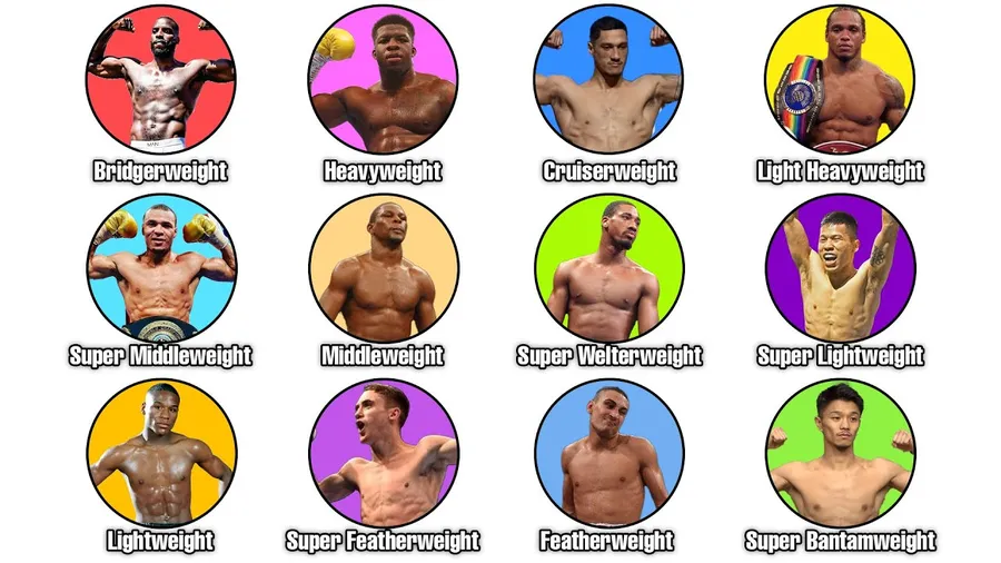 Professional boxing weight classes in order from flyweight to heavyweight