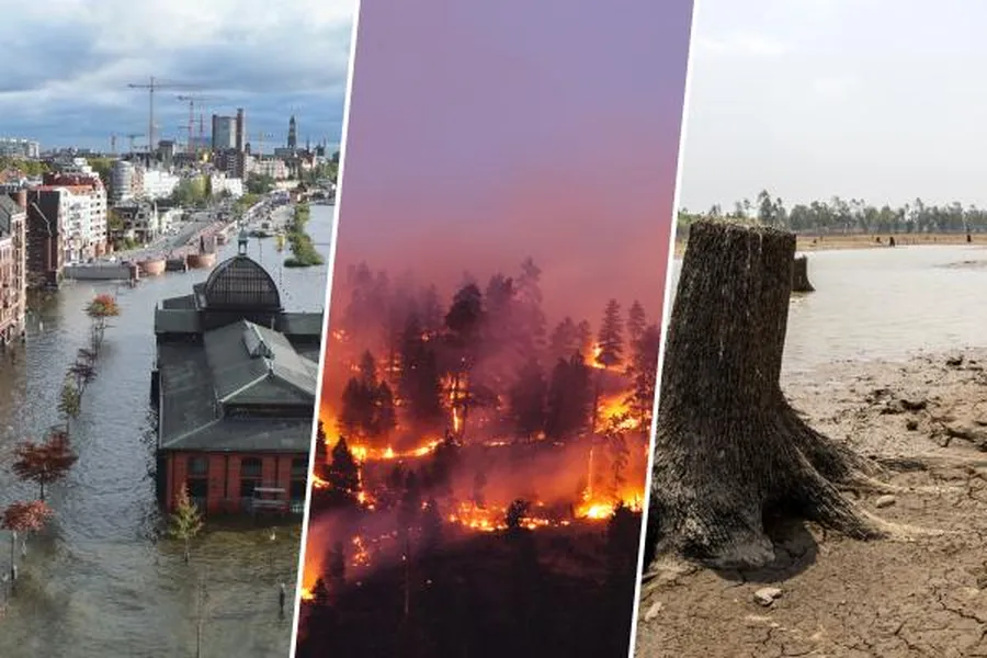 Climate Change Effects How climate change affects the environment globally and shifts ecological balance